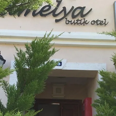 Kamelya Bozcaada